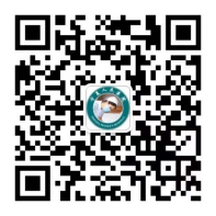 becca26702b671324a243921fd43775.png becca26702b671324a243921fd43775.png